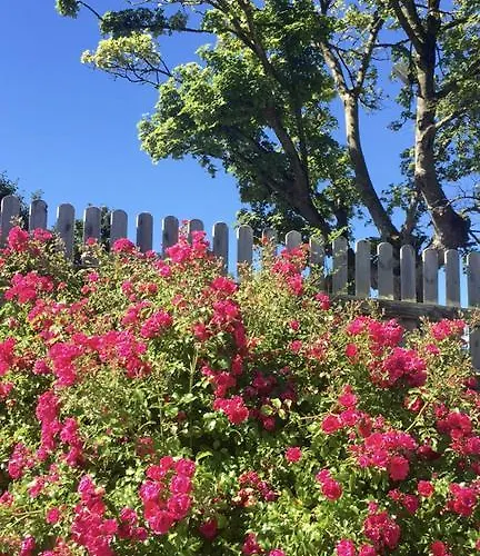 Southern County Apartman Sheean